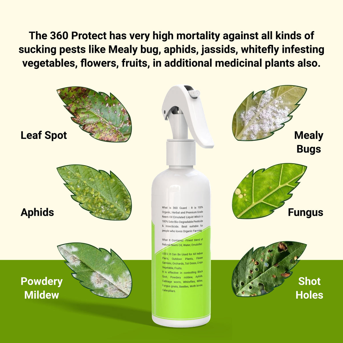 Pure Neem Plant Protection Spray (Pack of 2)